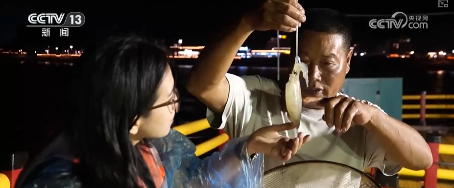 看海、读诗、非遗体验成文旅新标签 海岛焕新“向海而生”书写海洋经济新答卷