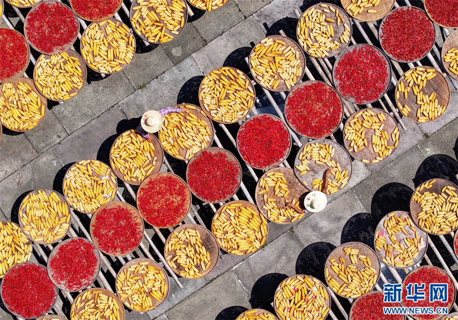 处暑丨暑热渐退 秋意渐浓