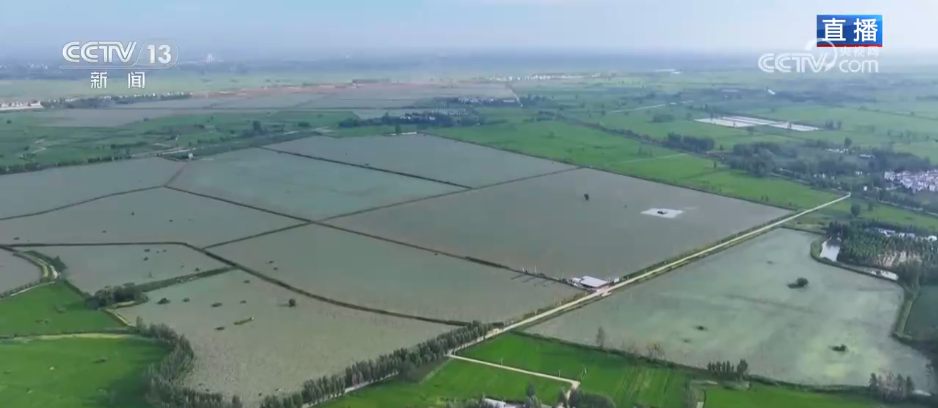 “水患”化“水利” 因地制宜发展特色种植 结出乡村振兴“共富果”