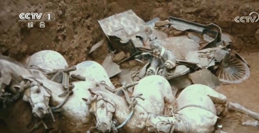 文博日历丨“节约”“比较”都源于它 秦代“座驾”藏着多少现代密码?