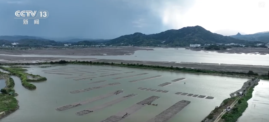 “粮饲双收”“一塘多收”……新技术“大显身手”绘就秋日别样好“丰”景
