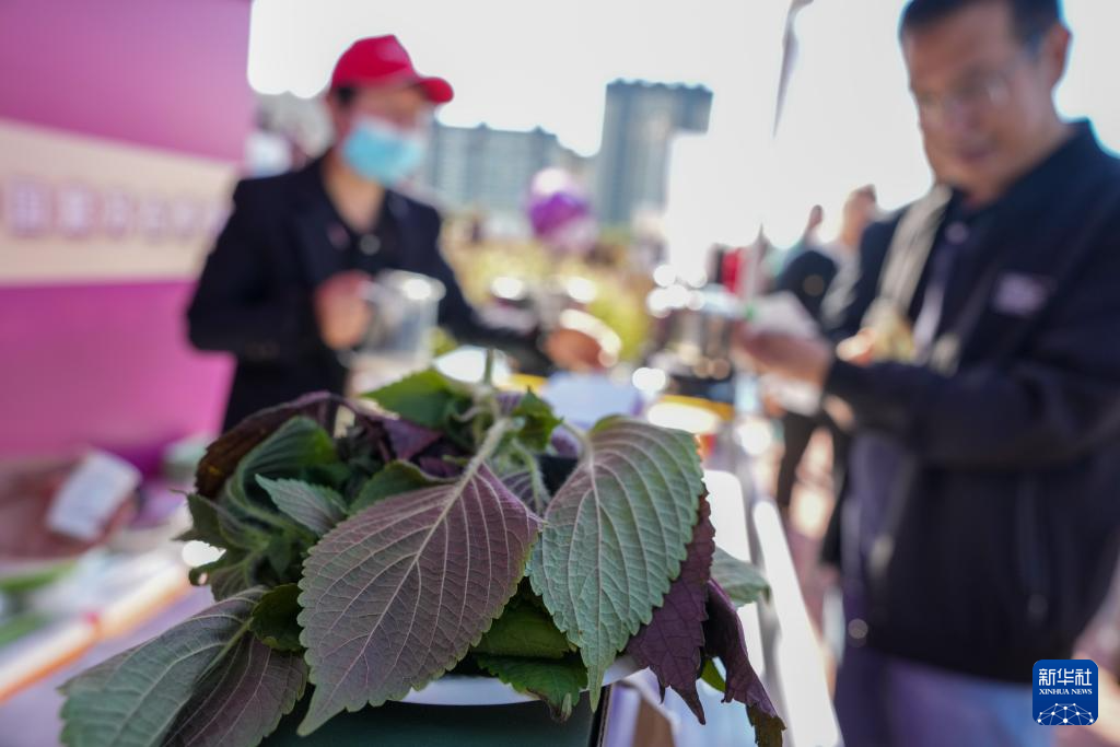 欢庆中国农民丰收节