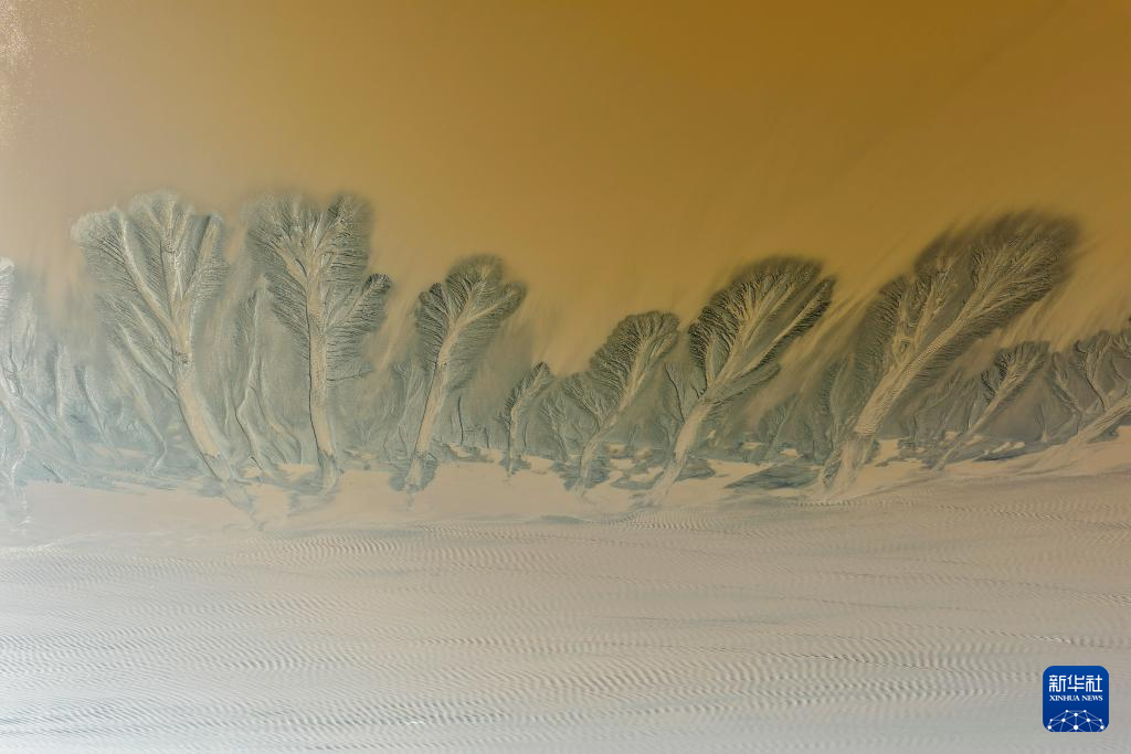 潮落钱塘 “树”生潮汐