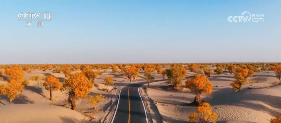 各地迎来秋日“限定版”美景 “文旅+”新场景新业态激发“赏秋经济”活力
