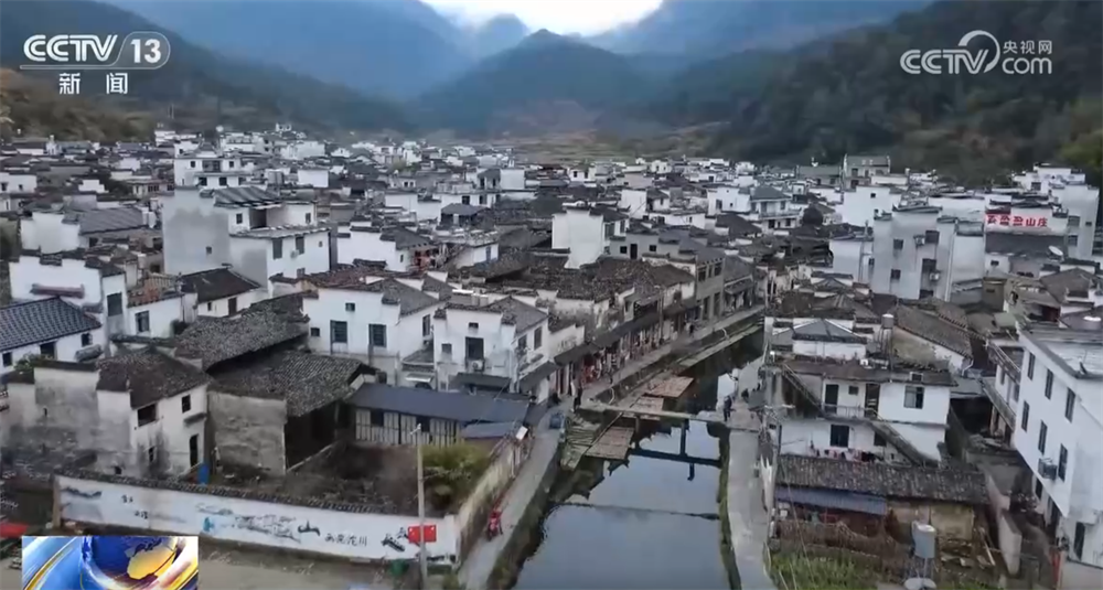 透过数据看前三季度“三农”成绩单 为经济社会高质量发展提供有力支撑