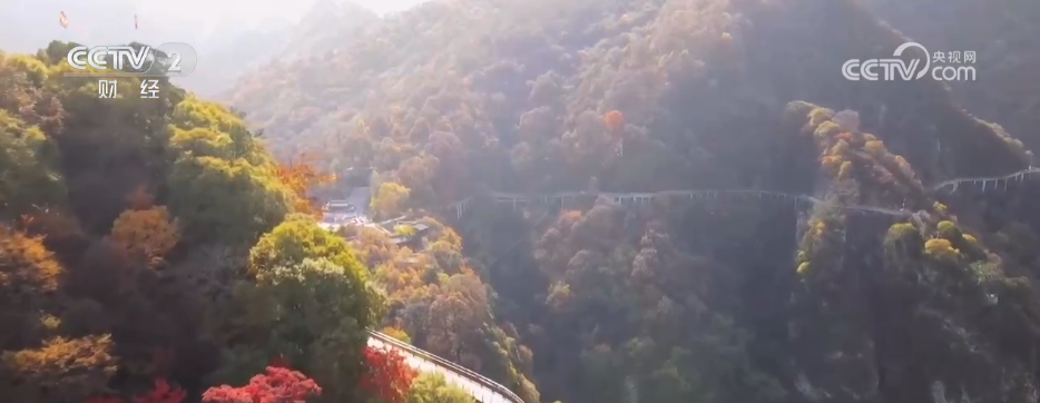 “秋日经济”活力满满 “赏秋+”催动文旅消费“热”力四射