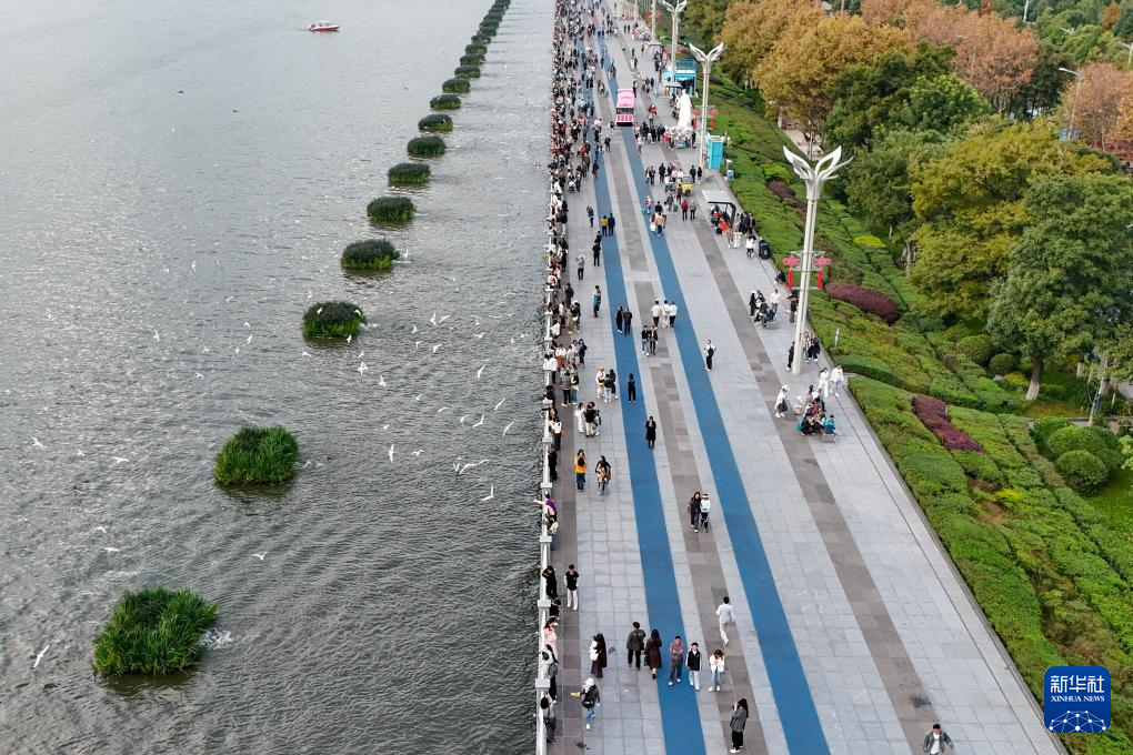 滇池畔的“约定”：四十载“春城”人鸥情