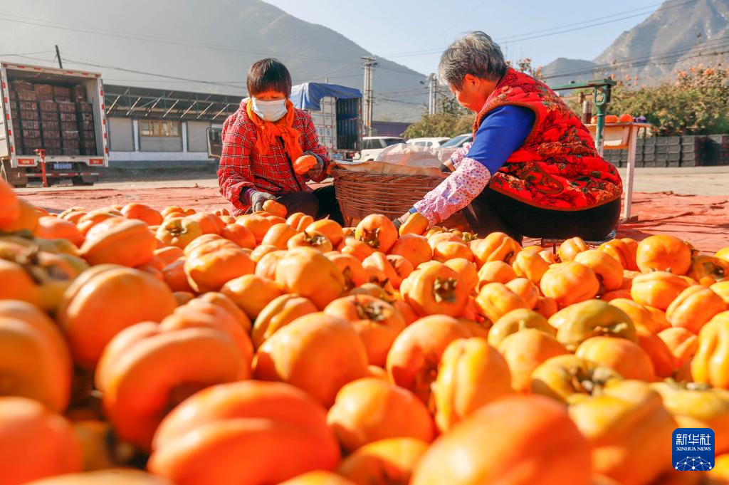 秋日“丰”景好