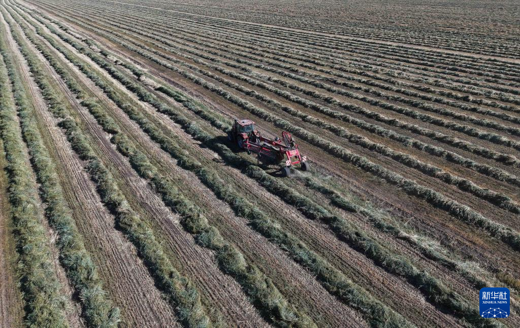 秋日“丰”景好
