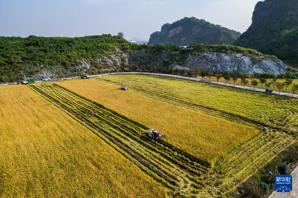 秋日“丰”景好