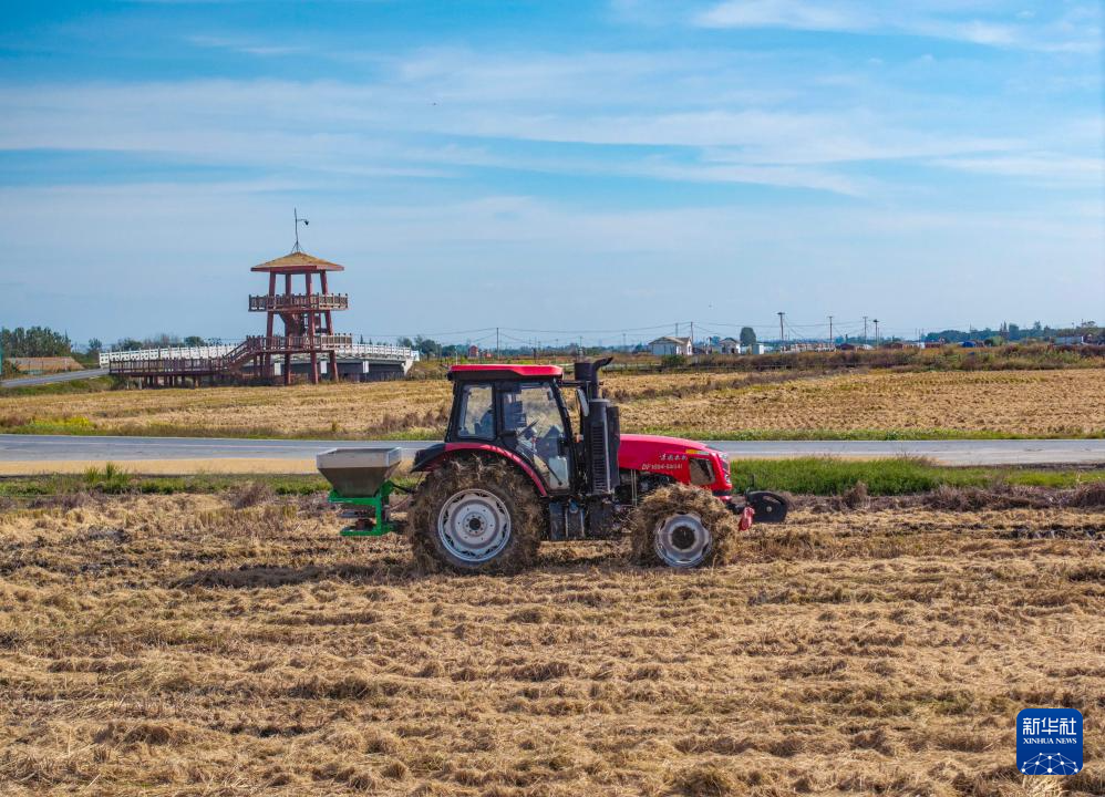 全国秋粮收获过九成 冬小麦播种过两成半
