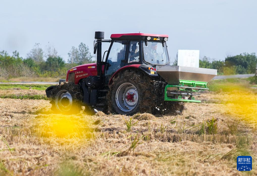 全国秋粮收获过九成 冬小麦播种过两成半