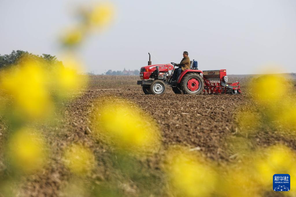 全国秋粮收获过九成 冬小麦播种过两成半