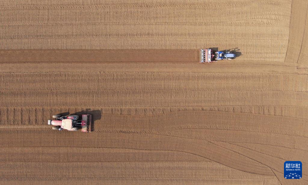 全国秋粮收获过九成 冬小麦播种过两成半