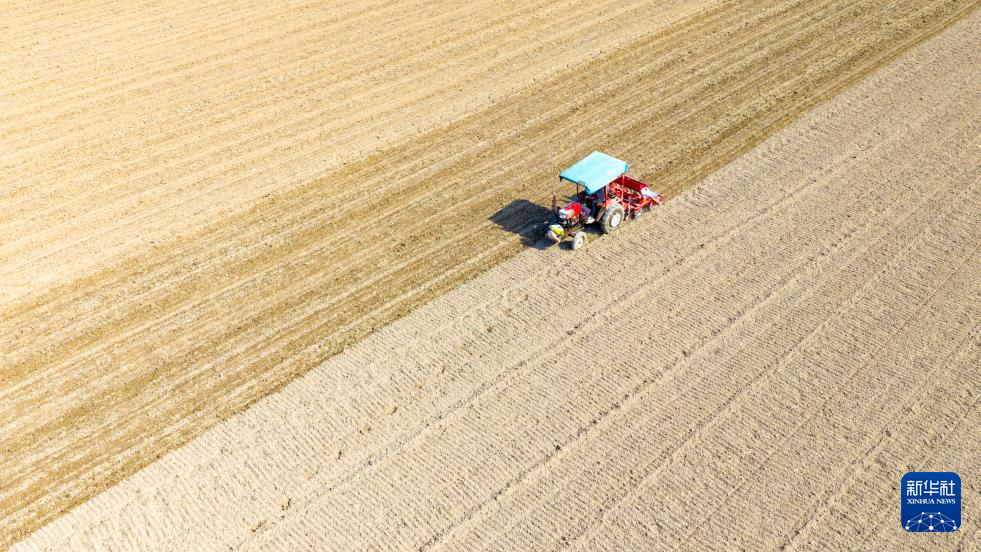 全国秋粮收获过九成 冬小麦播种过两成半