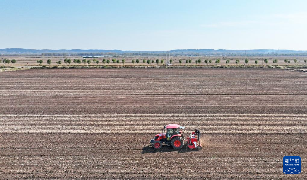 全国秋粮收获过九成 冬小麦播种过两成半