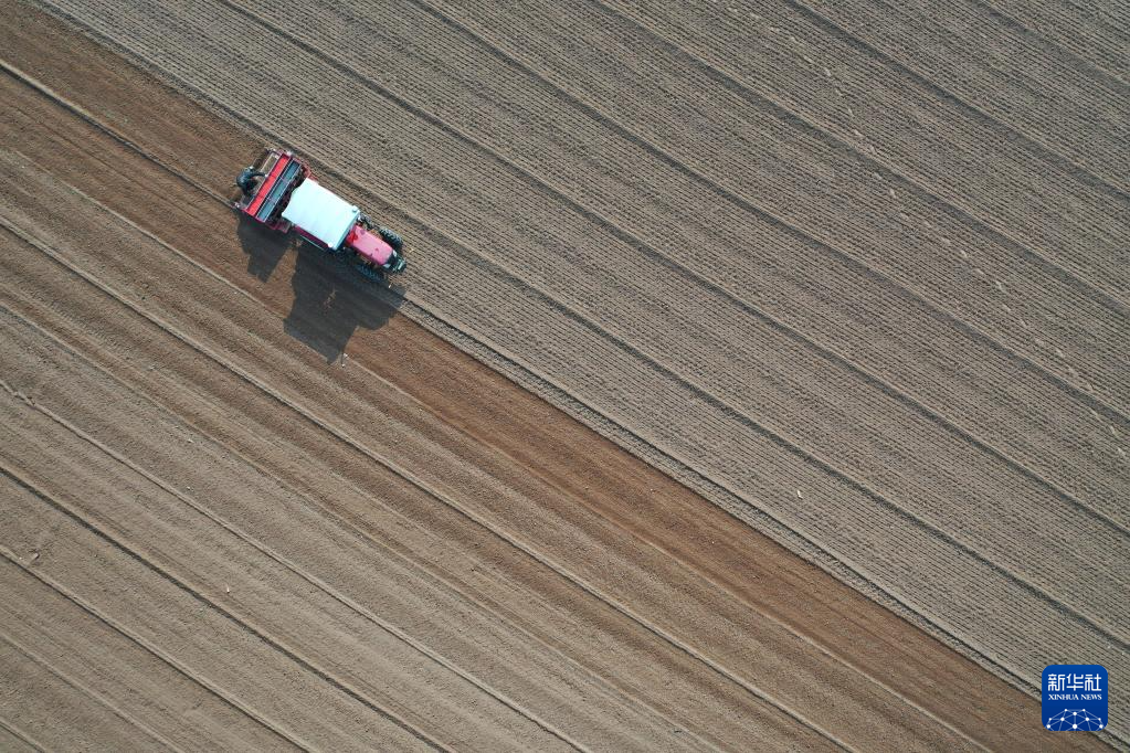 全国秋粮收获过九成 冬小麦播种过两成半