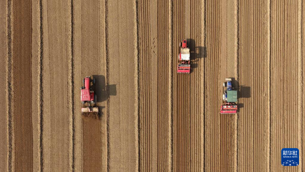 全国秋粮收获过九成 冬小麦播种过两成半