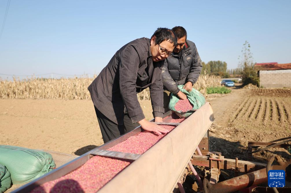 全国秋粮收获过九成 冬小麦播种过两成半