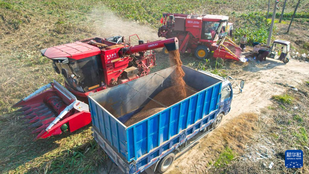 全国秋粮收获过九成 冬小麦播种过两成半