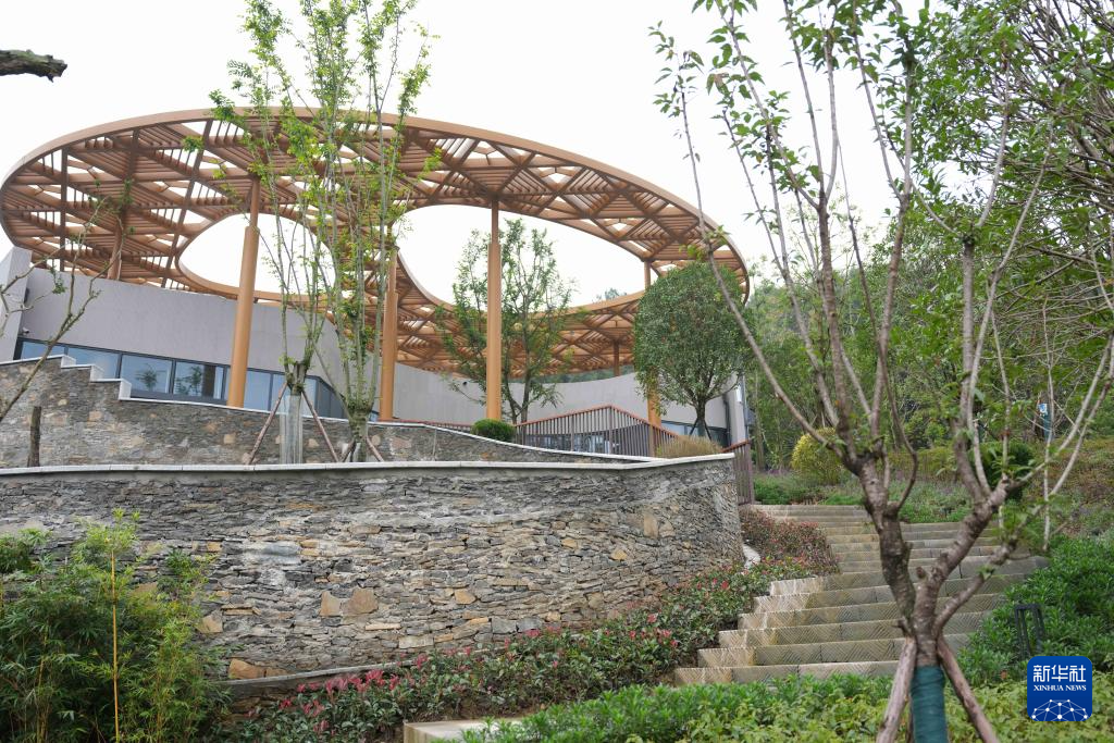 熊猫搬新“家” 我国再添一座大熊猫基地