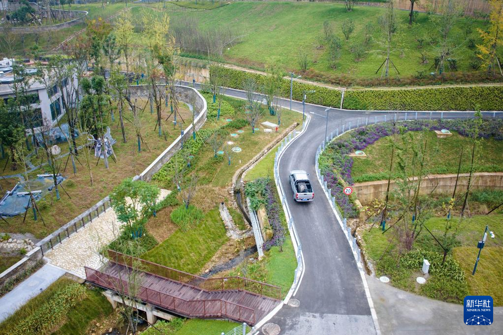 熊猫搬新“家” 我国再添一座大熊猫基地