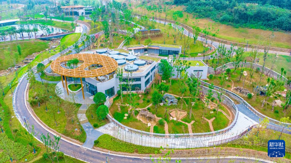 熊猫搬新“家” 我国再添一座大熊猫基地