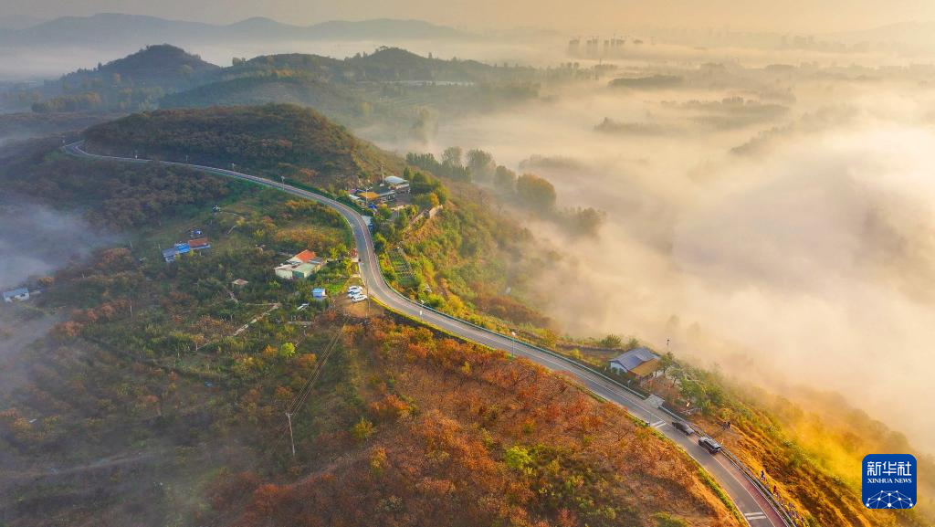 立冬将至 秋韵未央