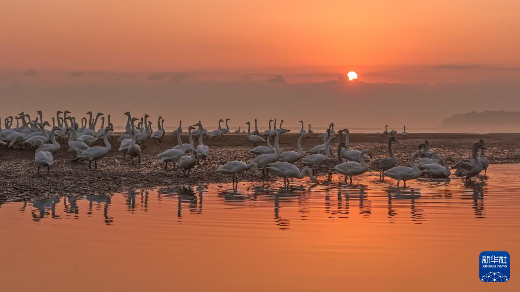 立冬将至 秋韵未央