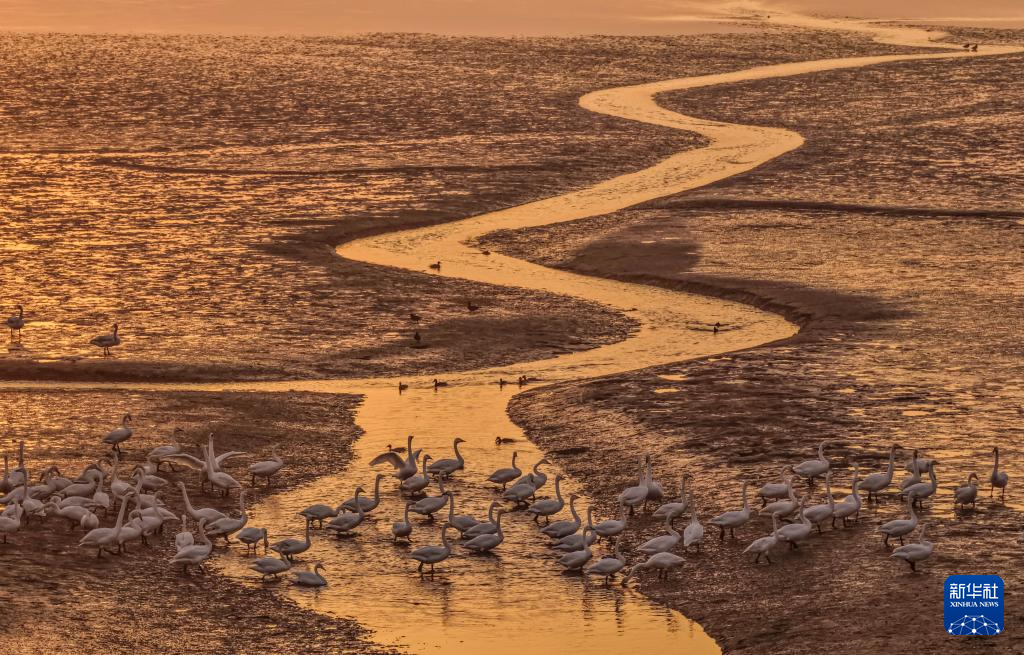 立冬将至 秋韵未央