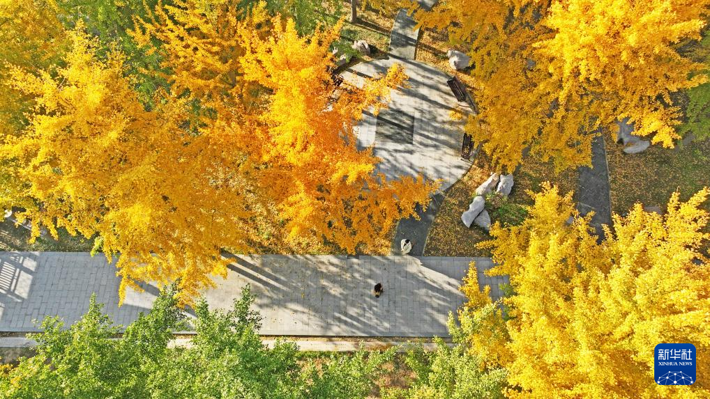 立冬将至 秋韵未央