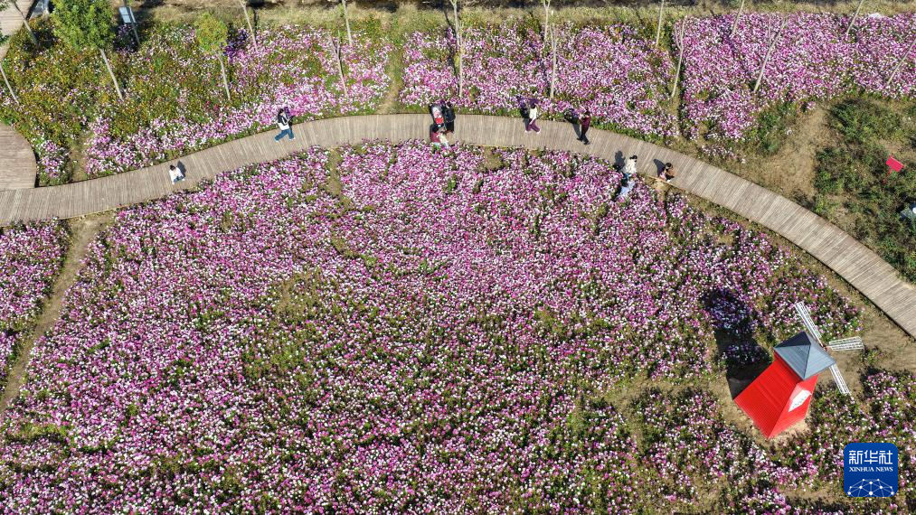 立冬将至 秋韵未央