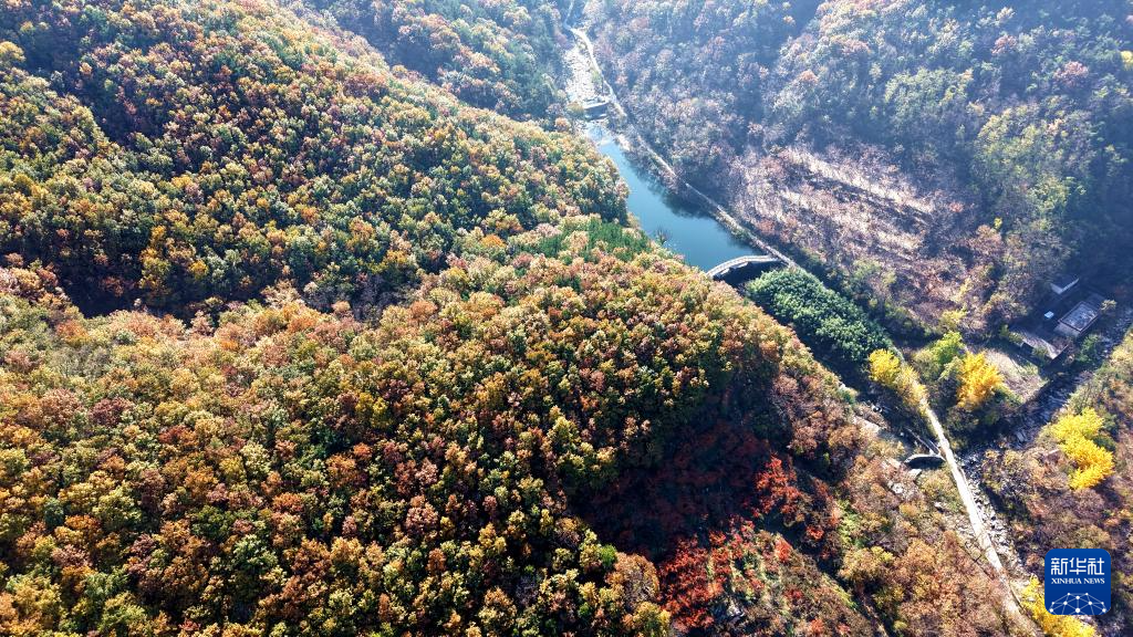 立冬将至 秋韵未央