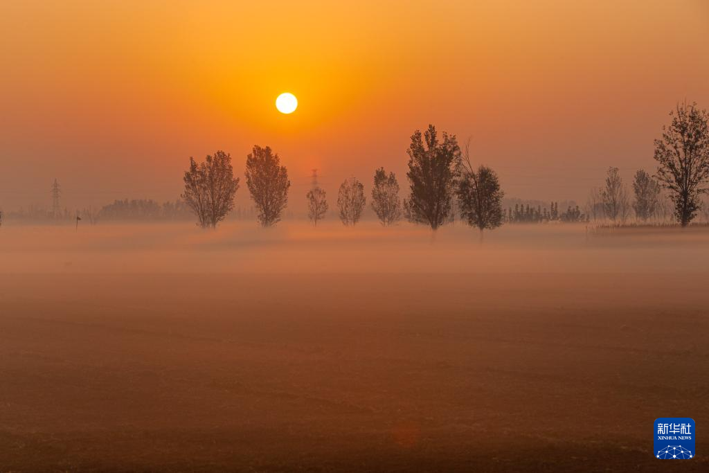 立冬将至 秋韵未央