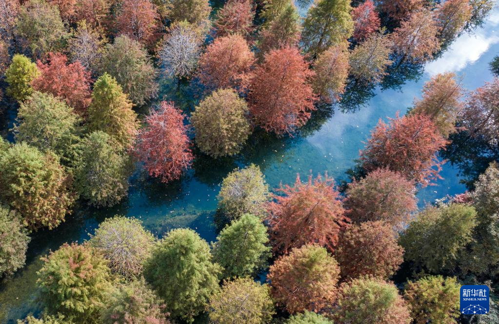 立冬将至 秋韵未央