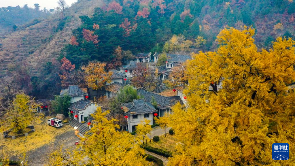 立冬将至 秋韵未央