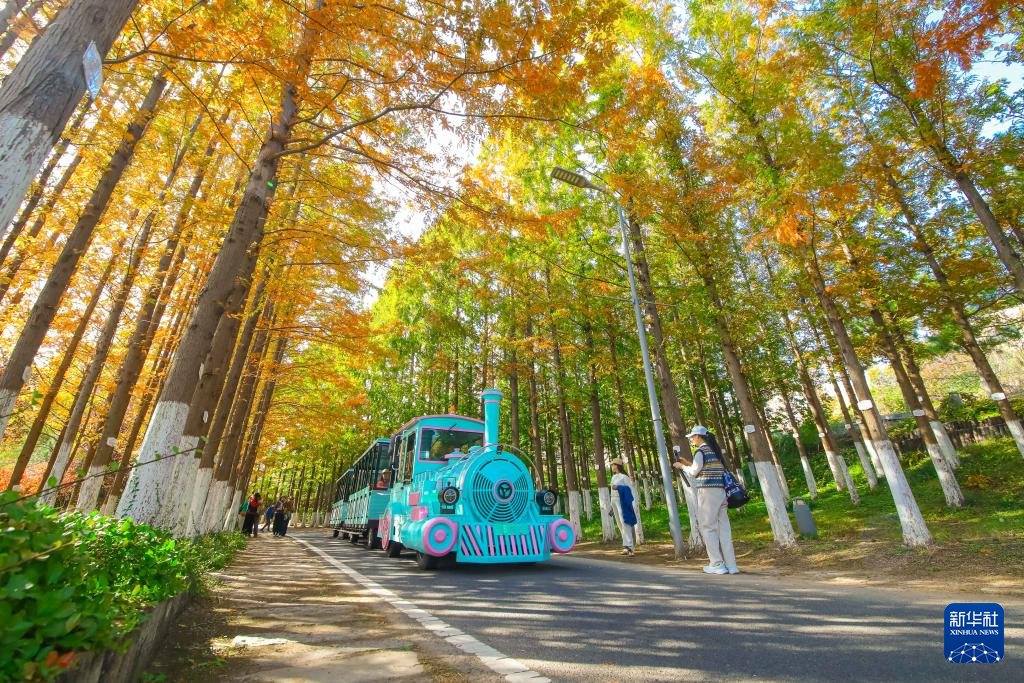 立冬将至 秋韵未央