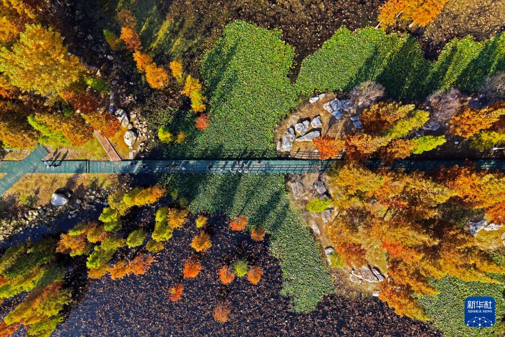 立冬将至 秋韵未央