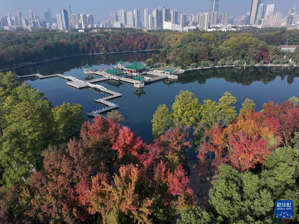 立冬将至 秋韵未央