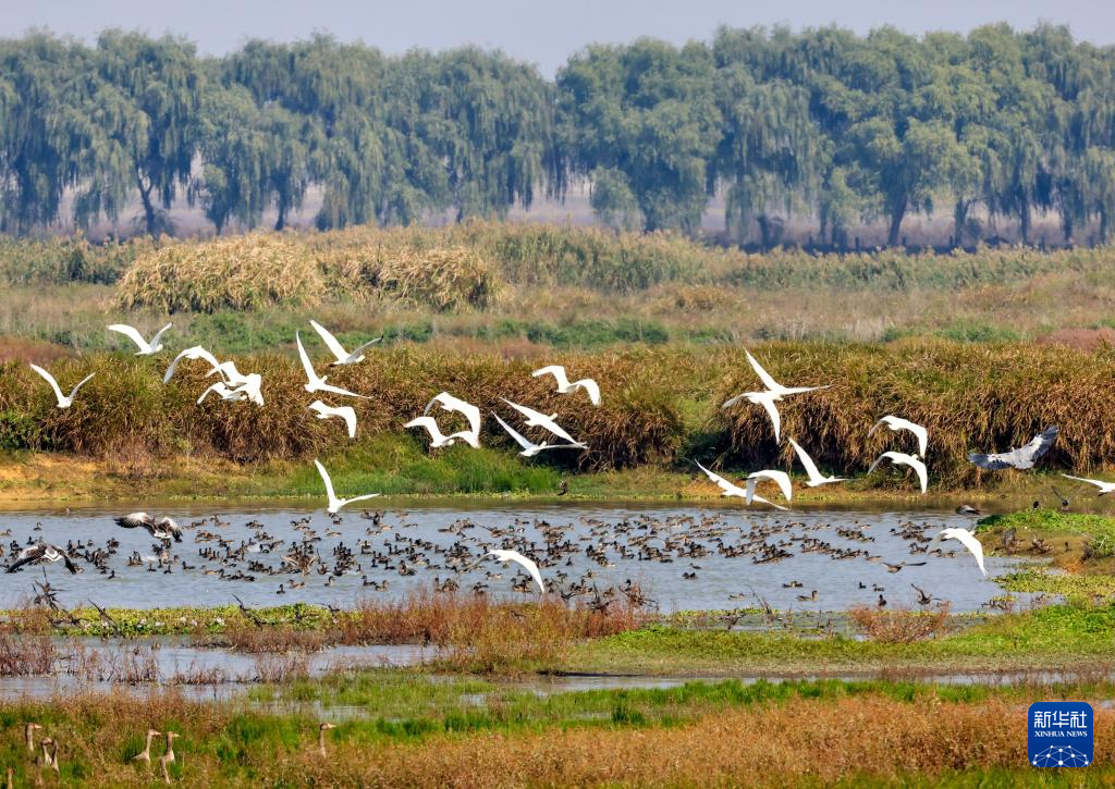 立冬将至 秋韵未央