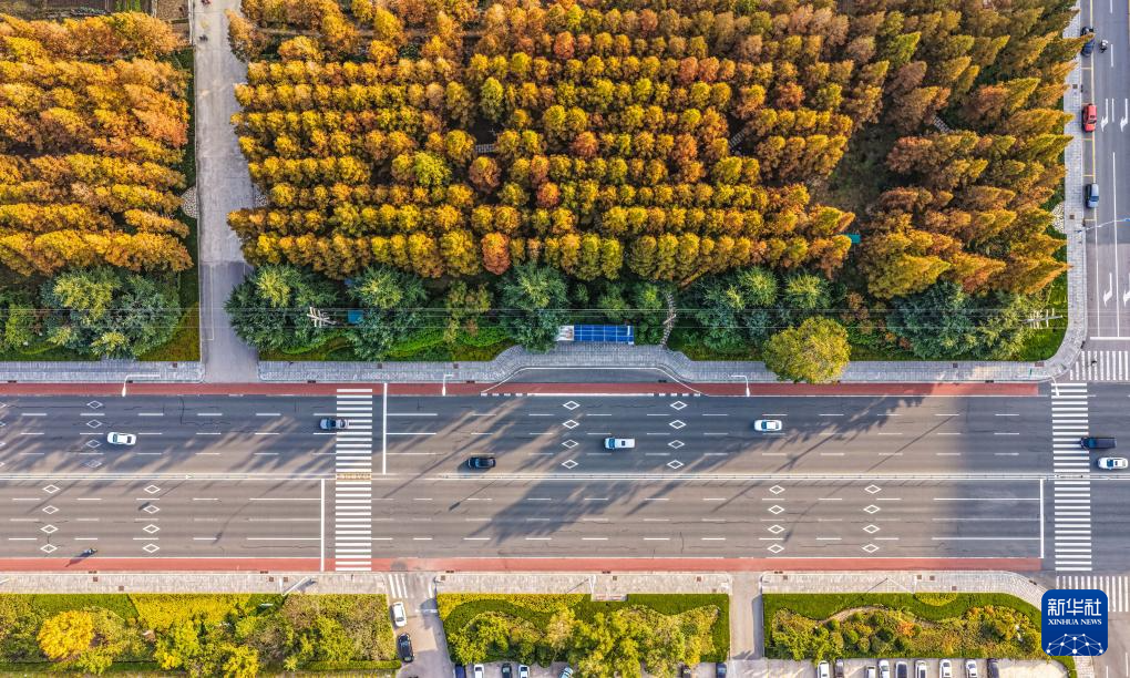 立冬将至 秋韵未央