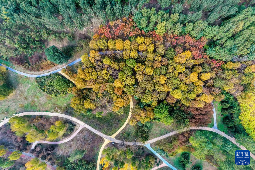 立冬将至 秋韵未央