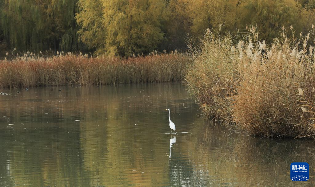 立冬将至 秋韵未央