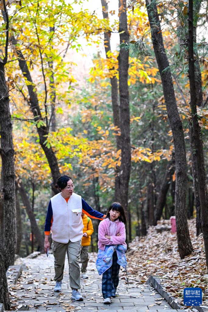 初冬京郊：斑斓画卷徐徐展开