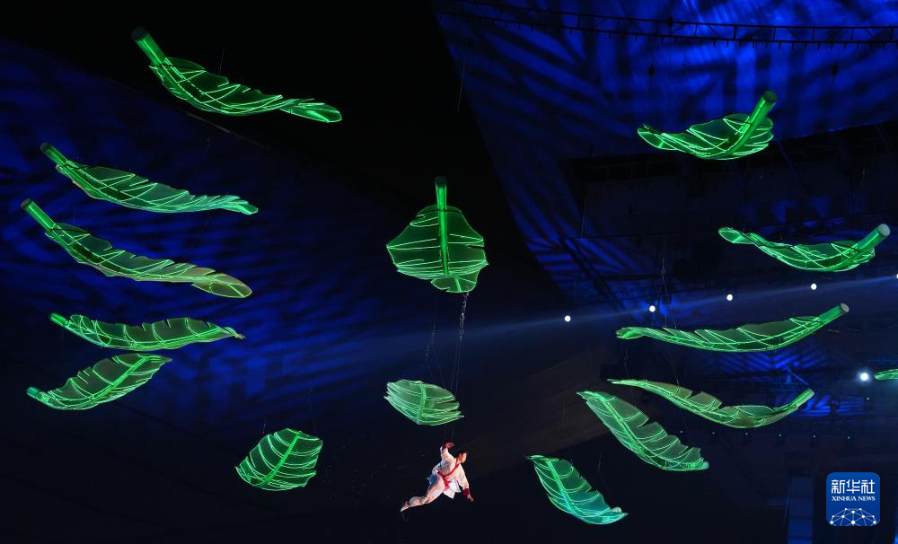 全运会丨第十五届全运会开幕式在广州举行