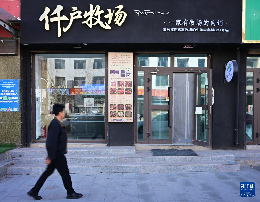 祁连山下的“新牧歌”