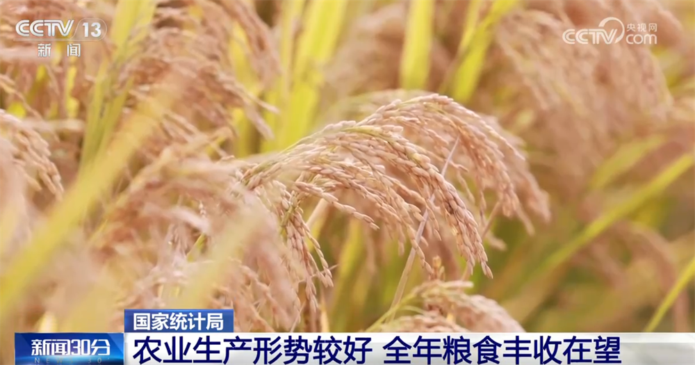 从10月份主要经济指标透视国民经济运行“稳”+“进”