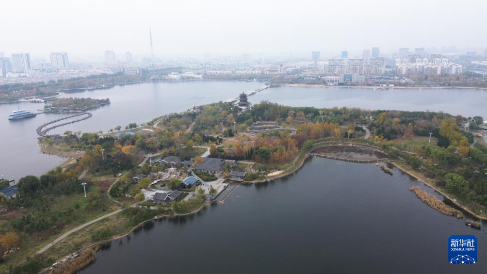 中国之城丨山东东营:河海交汇的湿地之城