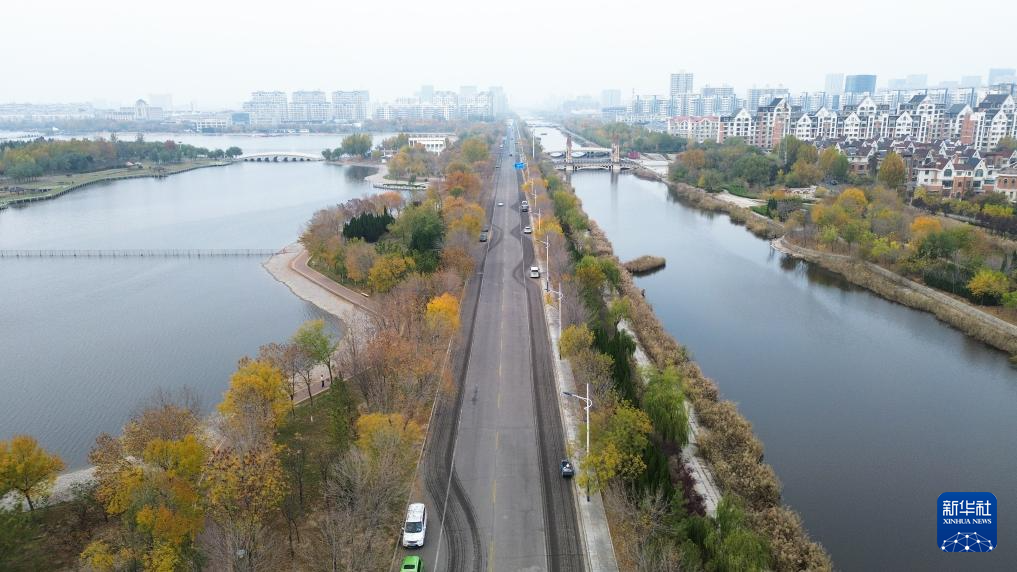 中国之城丨山东东营:河海交汇的湿地之城