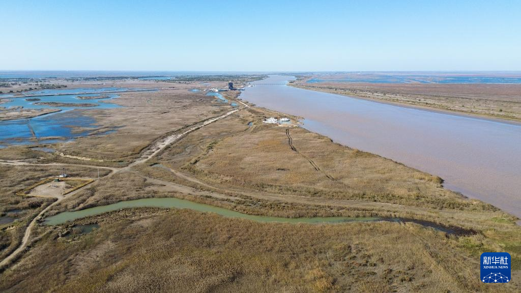 中国之城丨山东东营:河海交汇的湿地之城